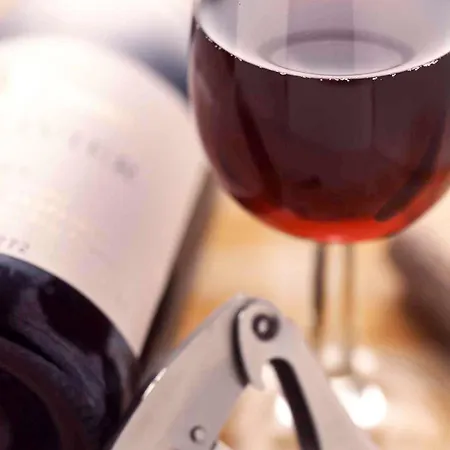 Ibis Centre Vieille Hotel 3*