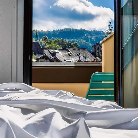 Ibis Centre Vieille Hotel Annecy