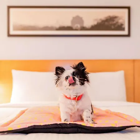 Ibis Centre Vieille Hotel