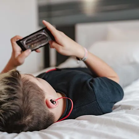 호텔 이비스 상트르 비에유 빌 3*