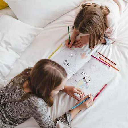 Ibis Centre Vieille 3* Annecy